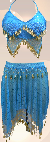Belly Dance Costume 2 Pcs Set