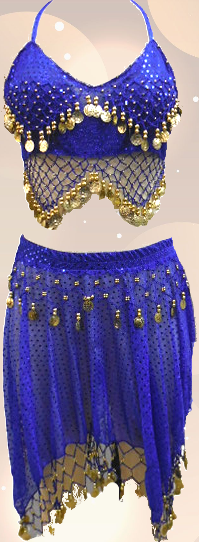 Belly Dance Costume 2 Pcs Set