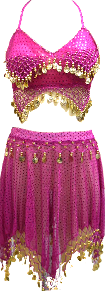Belly Dance Costume 2 Pcs Set