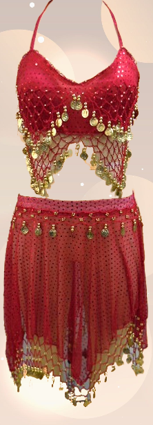 Belly Dance Costume 2 Pcs Set