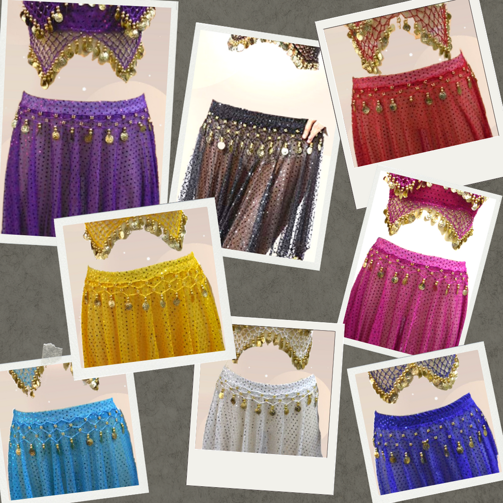 Belly Dance Costume 2 Pcs Set