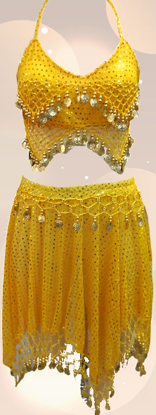 Belly Dance Costume 2 Pcs Set