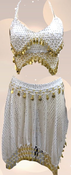 Belly Dance Costume 2 Pcs Set