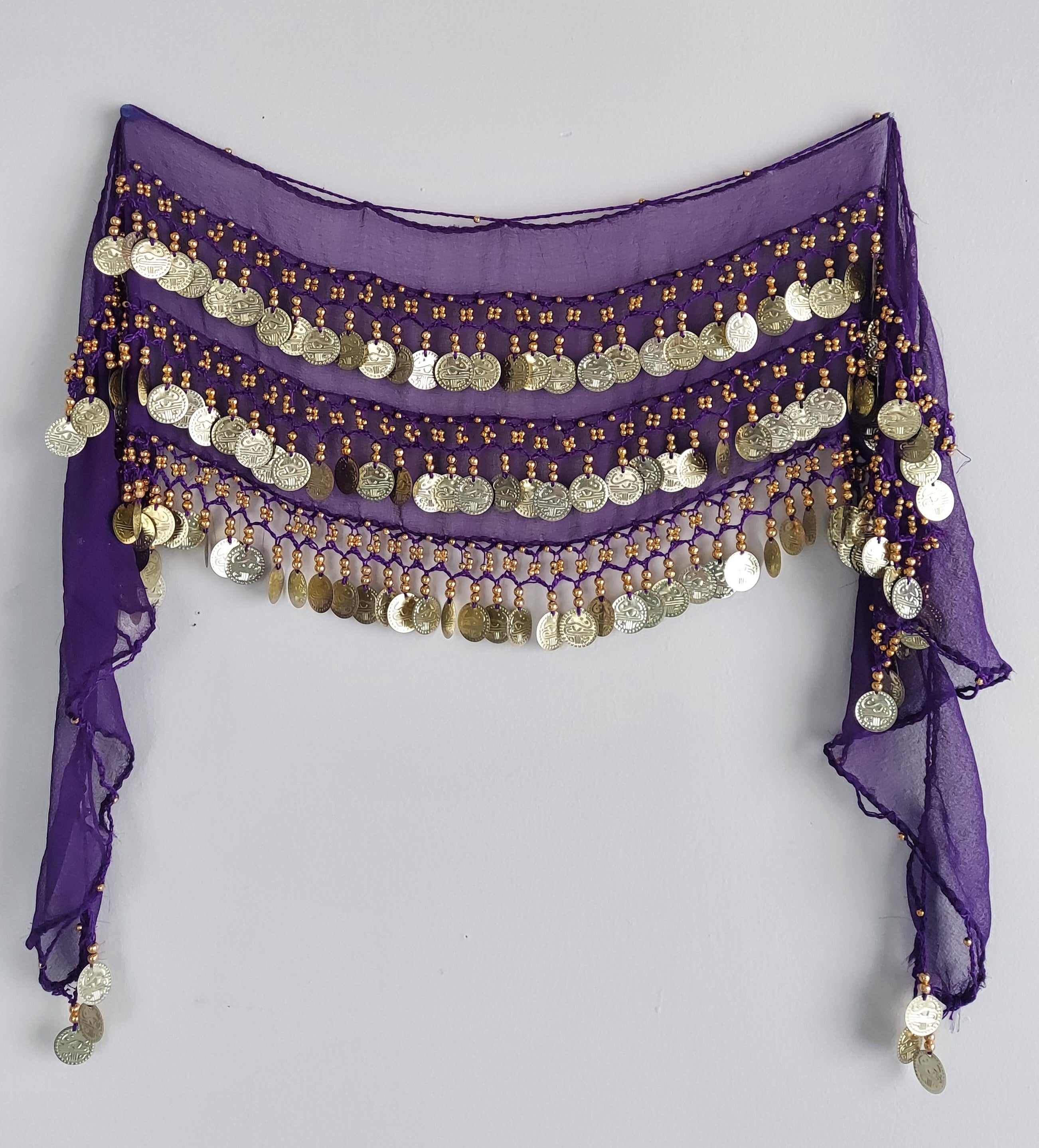 Belly Dance Hip Scarf With Coins / Skirt Sash Costume