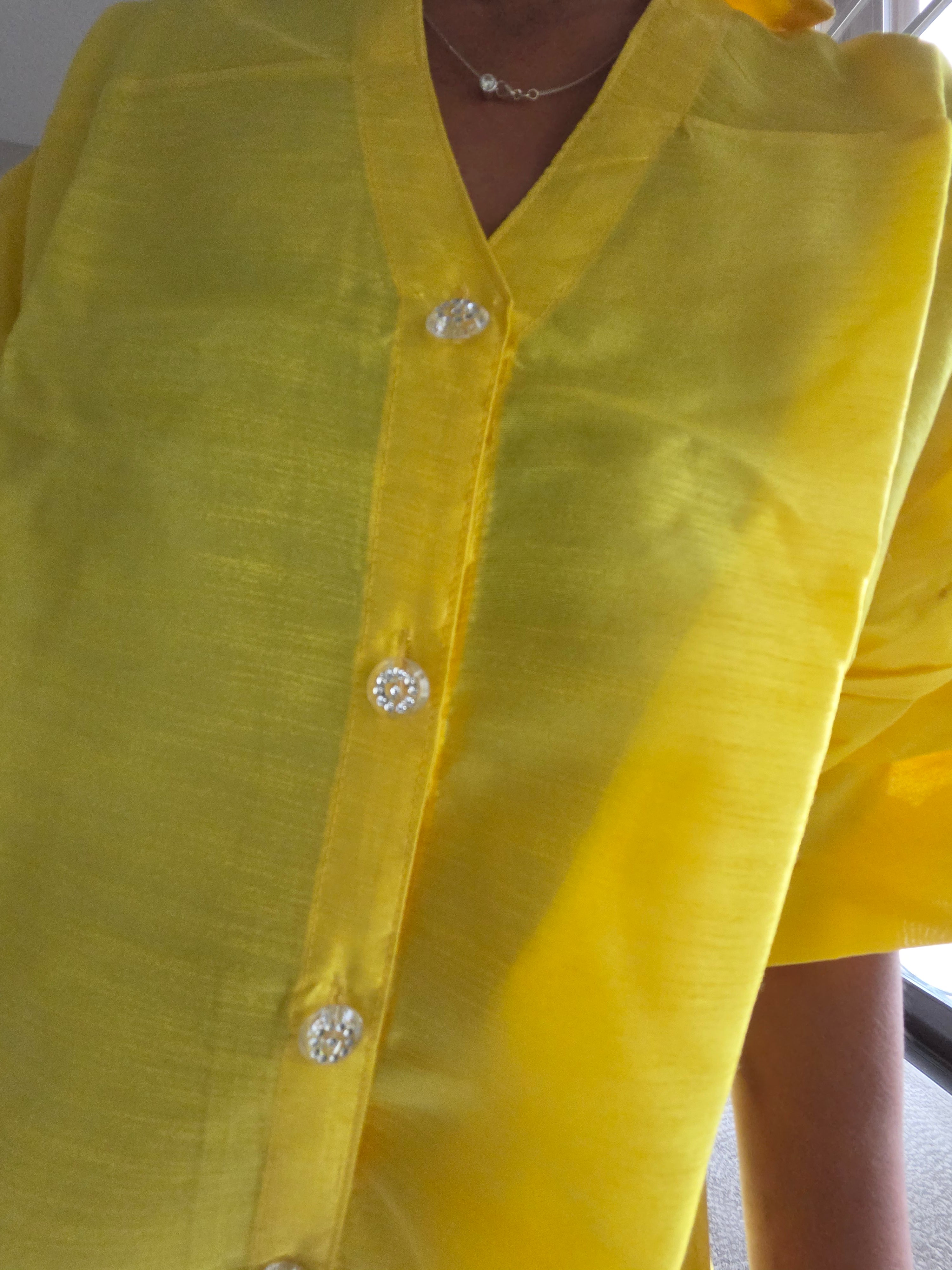 Swing Dress/ Faux Silk/ Ruffle Sleeve / Sparkle Button - 758